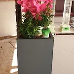فندق فورتشن كولونيا