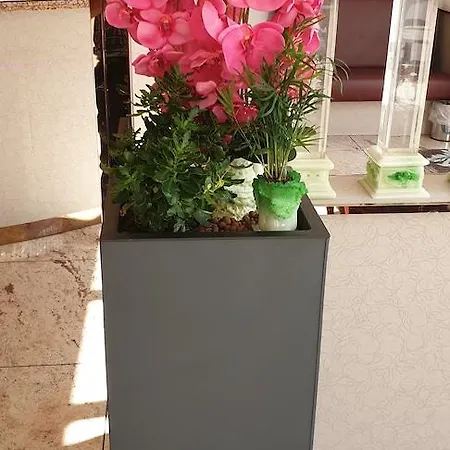Fortune Szálloda 3*
