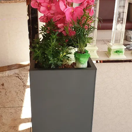 Hotel Fortune Cologne