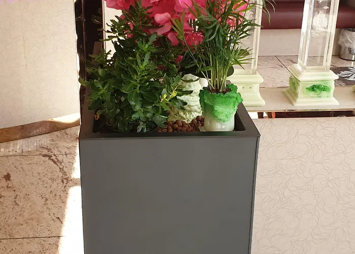 Hotel Fortune Cologne